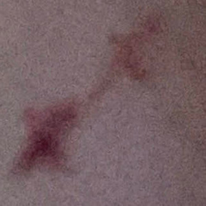 We're In This Together, My Darling