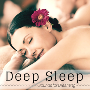 Deep Sleep