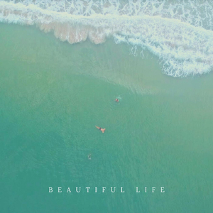 Beautiful Life