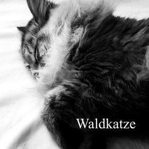 duet with fan in euthanasia room Pt. 1