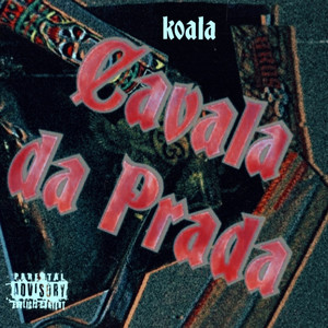 Cavala da Prada