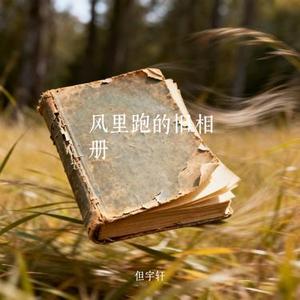 风里跑的旧相册