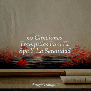 Maravillas Nocturnas