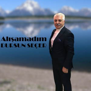 Alışamadım