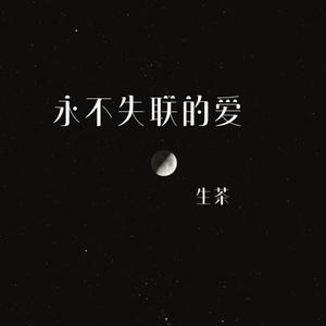永不失联的爱