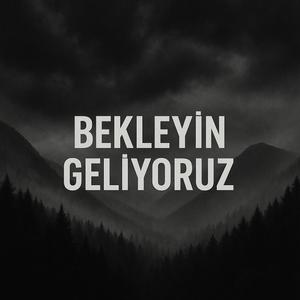Bekleyin Geliyoruz