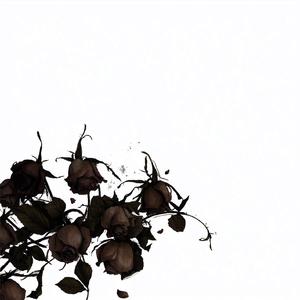낙화(落花)