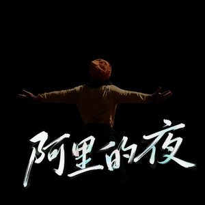 阿里的夜