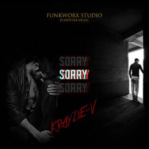 Sorry (feat. Rudebwoy MNL & Echoverb Music)