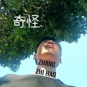 奇怪