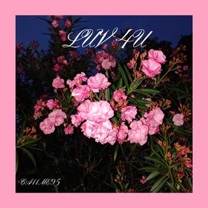 Luv 4U(Prod.Gr33nart Beats)