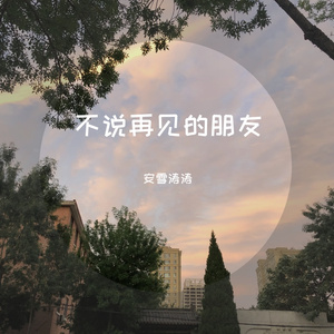 不说再见的朋友