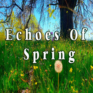 Happy Butterflies Flutter in the Forest