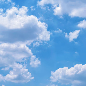 春天的气息 (浪漫的鲜花占一半)