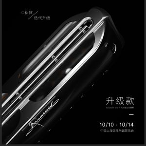 Pure Adrenaline （D调刺客二把位演奏）