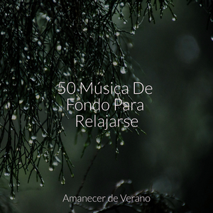 Encantadoras Mareas del Destino