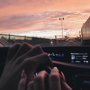 Yıldızlı Menekşeler