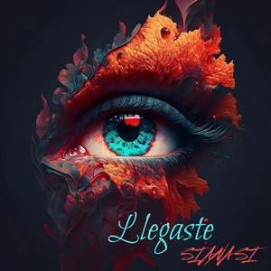 Llegaste