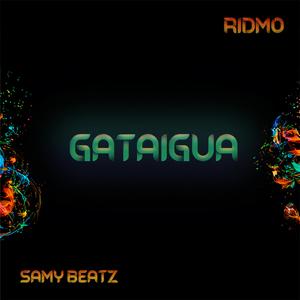 Gataigua (feat. Samy Beatz)