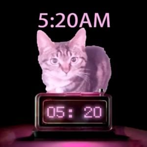 我在5:20哈气，13:14准时寄