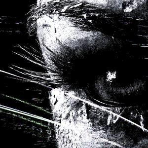 batida catastrófica