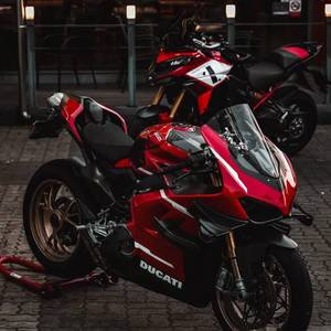 Lush life（纯音乐）