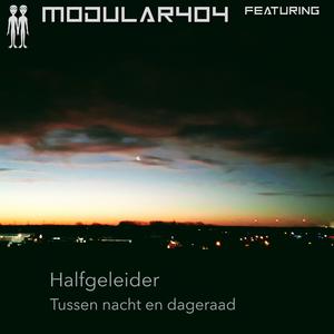 Ademruis (feat. Halfgeleider)