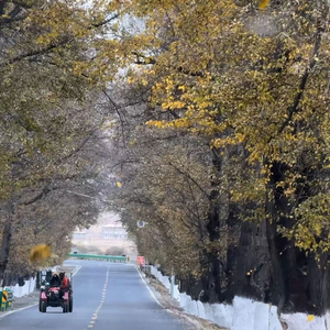 我们真的来过吗