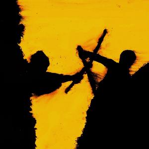 Professional Assassination