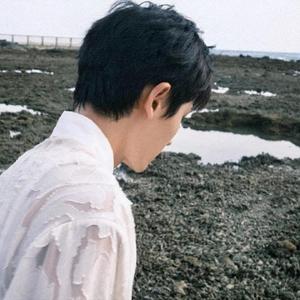 上海的雨—来福