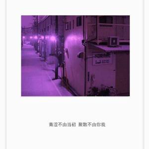 天真的认真（翻自 林小坤）