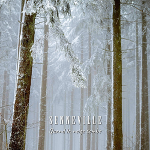 Quand la neige tombe