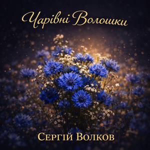 Чарівні волошки