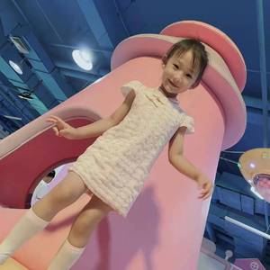 国旗国旗真美丽—沈心/八音盒艺术