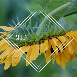 顾峰-别再说（DJONE remix）