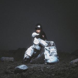 小人物 THE NOBODY
