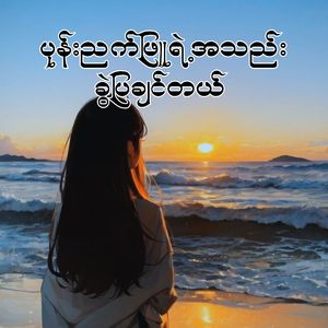 ပုန်းညက်ဖြူရဲ့အသည်း ခွဲပြချင်တယ်