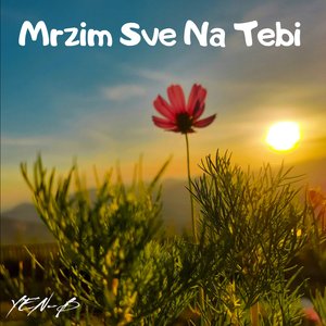Mrzim Sve Na Tebi
