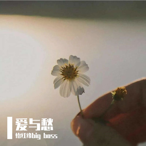 他和她