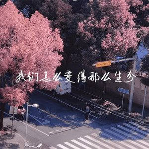 我们怎么变得那么生分 (伤感版)