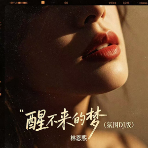 醒不来的梦(氛围DJ版)