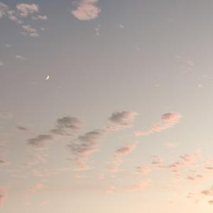 爱与恨的白平衡