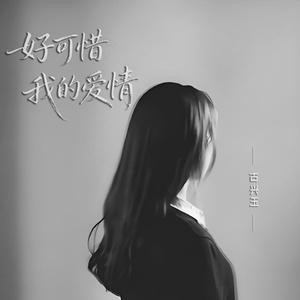 好可惜我的爱情 (Dj版)