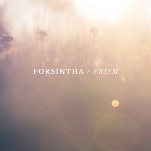 Prism