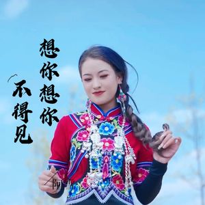 想你想你不得见（打跳版）