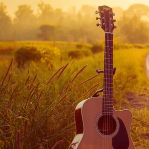 Country Nights Forever