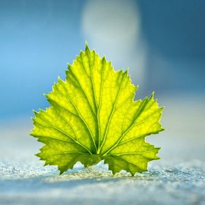 生活不止眼前的苟且