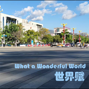 漂亮的女人（《Pretty Woman》中文填词）