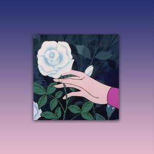 cherry blossom trees