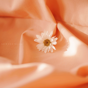 괜찮다고 말해줄래요